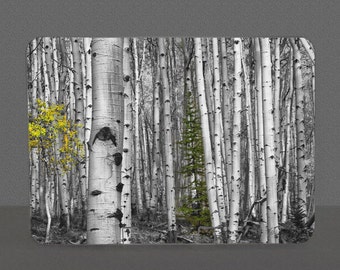 Aspen Grove Cutting Board with Last Dollar Road Photo - Telluride, Colorado - Black and White with a pop  of Color