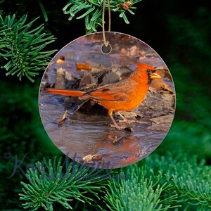 Unique Cardinal Ceramic Ornament – Christmas Tree Decoration for the Bird Lover