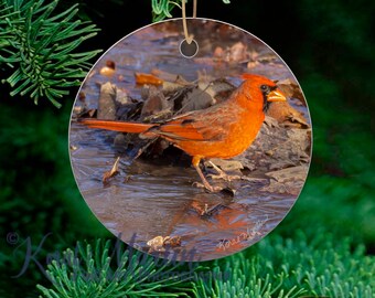May include: A round Christmas ornament featuring a red cardinal bird standing in a puddle of water with fallen leaves. The bird is facing right and has a bright red body with a black beak and black eyes. The background is a blurry image of brown leaves and water.
