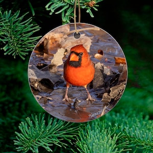 Unique Cardinal Ornament with Front View Cardinals Ornament, Bird ornament for Christmas Tree, Cardinal Decor, Red Bird Christmas Ornament
