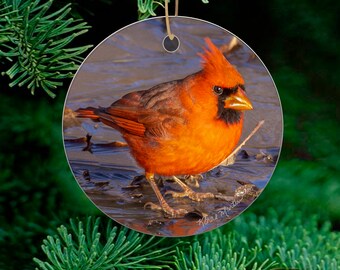 Cardinal Ornament Up Close on a icy puddle ,  Bird ornament for Christmas Tree, Cardinal Decor, Red Bird Christmas Ornament, Cardinals