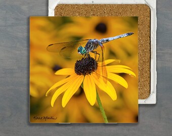 Dragonfly Coaster - Vibrant Matte Finish, Dragonfly on Black-Eyed Susan Photograph