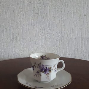 Winterling Bavaria Teacup and Saucer