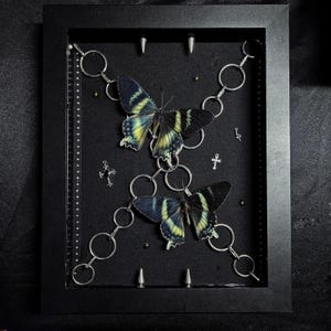 May include: A framed art piece featuring two butterflies with black and yellow wings, arranged on a black background. Silver chain links and small crosses are incorporated into the design, with silver studs around the frame.