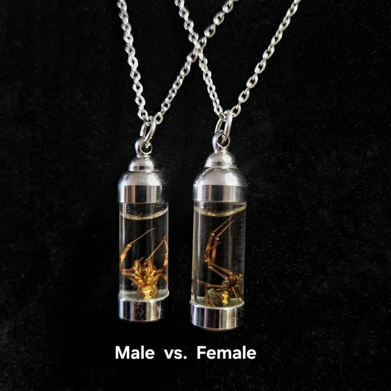 Collar de viuda negra, muestra húmeda, vial de plata, joyería gótica imagen 4
