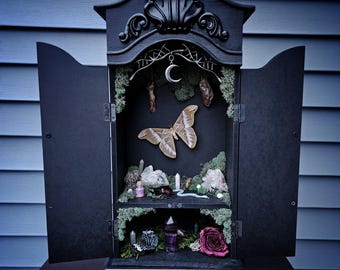 Moonlit Moth Reliquary Cabinet