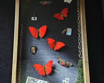 The Red Queen - Alice Inspired Butterfly Wall Decor Hanging Frame
