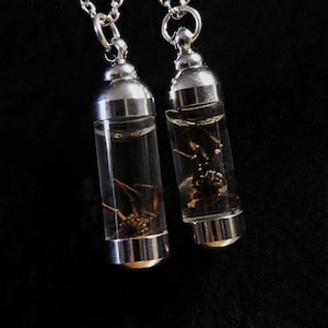 Collar de viuda negra, muestra húmeda, vial de plata, joyería gótica imagen 1