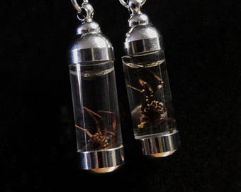 Black Widow Necklace Wet Specimen, Silver Vial, Gothic Jewelry