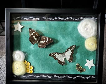 Spring Garden Wings Butterfly Frame