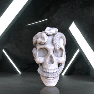 May include: A white ceramic skull sculpture with snakes wrapped around its head and mouth. The skull is detailed with teeth and eye sockets. The snakes are textured and have realistic details.