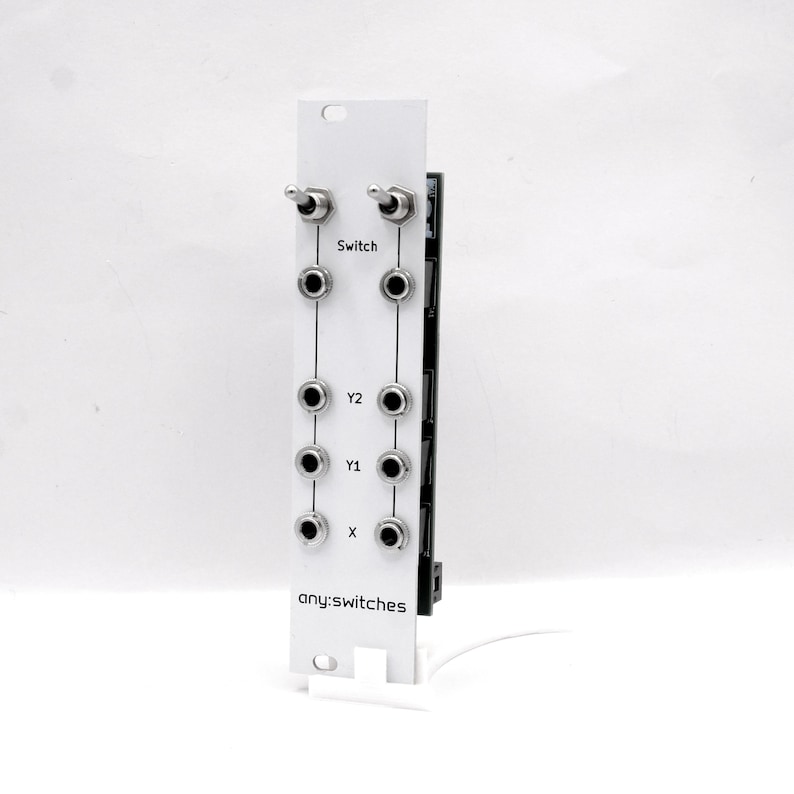 Pu&ograve; includere: Un modulo elettronico bianco con due interruttori a levetta e pi&ugrave; prese di ingresso. Il modulo presenta il testo "Switch", "Y2", "Y1", "X" e "any:switches". Sul lato destro &egrave; visibile una scheda a circuito stampato nera.