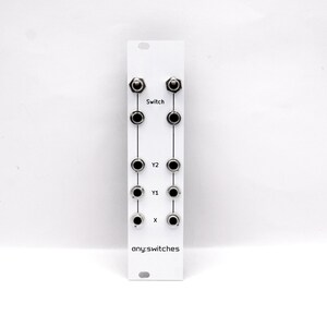 Pu&ograve; includere: Un modulo elettronico bianco con pi&ugrave; interruttori e manopole neri. Il testo "Switch", "Y2", "Y1", "X" e "any:switches" &egrave; stampato sul modulo. Il modulo ha una forma rettangolare con due fori nella parte superiore.