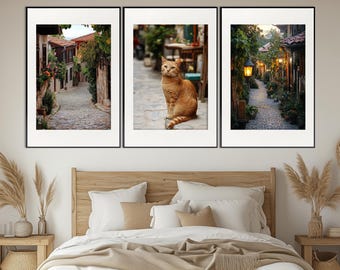 Scenic Istanbul Wall Art, Turkish Red Cat Print, Turkey Set of 3 Posters, Turkey Photo, Oriental Wall Art, Istanbul Streets