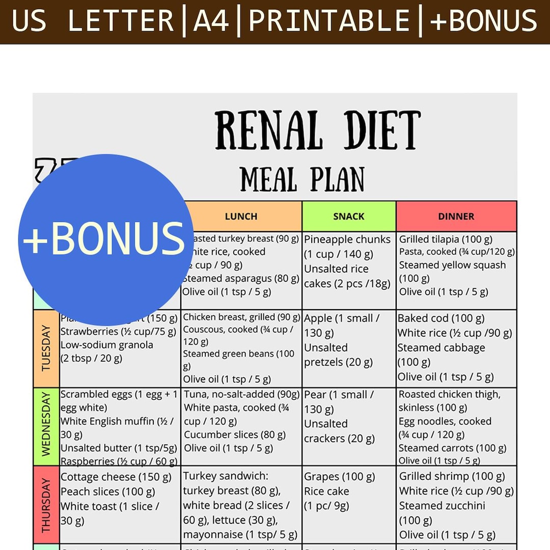 7 Day Renal Meal Plan PDF, Kidney Disease Diet Menu, CKD Nutrition ...