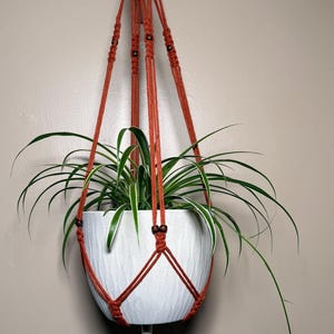 May include: A rust-colored macrame plant hanger featuring knotted cord construction, dark brown wooden beads, and a bottom tassel. The hanger supports a white ceramic pot with a textured, wavy surface containing a green spider plant.