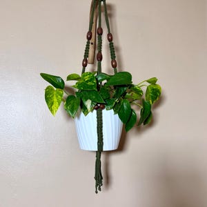 May include: A white fluted plant pot held by a dark green macrame hanger featuring brown wooden beads. The hanger is suspended from a wooden wall bracket and contains a pothos plant with variegated green and yellow heart-shaped leaves.