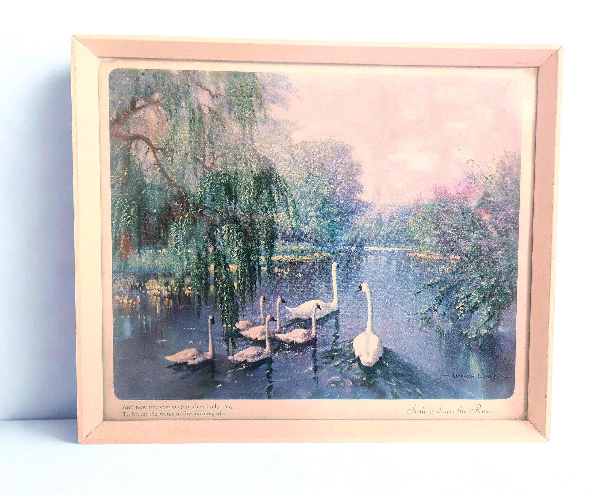 Ancienne Grande Photo Encadrée - Alarme Sauvage Par Vernon Ward, Déco Campagne Chic