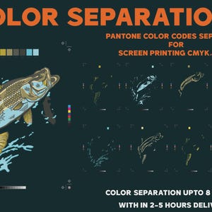 I will color separation for screen printing cmyk, spot and simulation