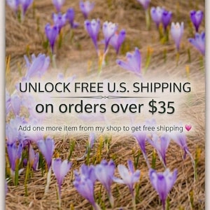 May include: A field of purple and white crocus flowers blooming in dry, brown grass. The image features a soft focus effect on the flowers, with the petals displaying various shades of violet, lavender, and white against the textured ground.