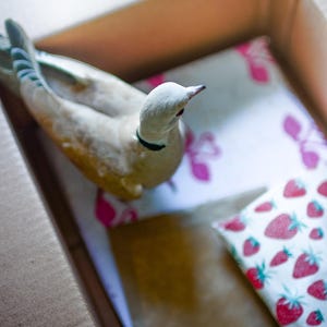 May include: A ceramic dove figurine with a cream-colored body, a black neck ring, and grey-tipped wings, positioned inside a cardboard box next to a white paper package featuring a repeating pattern of red strawberries and pink floral motifs.