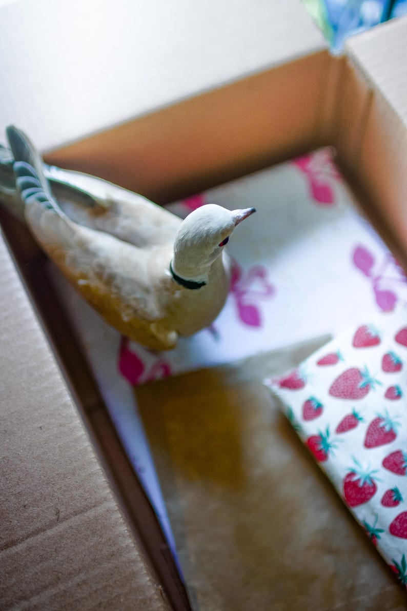 May include: A ceramic dove figurine with a cream-colored body, a black neck ring, and grey-tipped wings, positioned inside a cardboard box next to a white paper package featuring a repeating pattern of red strawberries and pink floral motifs.