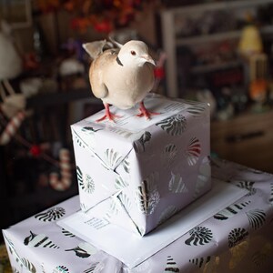 May include: A taxidermy dove with light brown and white feathers and a black neck ring stands on a small square box wrapped in light purple paper with a silver seashell pattern, which is placed atop a larger matching wrapped box.