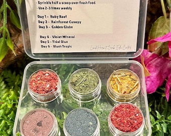 Reef Radiance Color Boosting Kit For Hermit Crabs