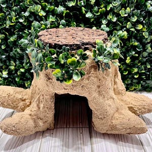 May include: A decorative tree stump with a textured, light brown exterior and a dark brown, bark-like top. Green foliage accents the top and sides. The stump has an opening, and is set against a green leafy backdrop.