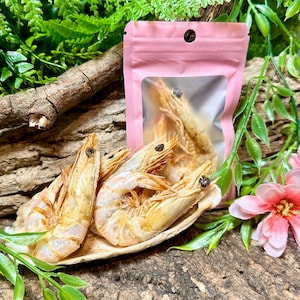 May include: Several dried shrimp with visible dark eyes and segmented bodies are arranged on a light-colored shell. A pink, resealable plastic pouch with a clear rectangular window contains additional dried shrimp, positioned upright behind the shell.