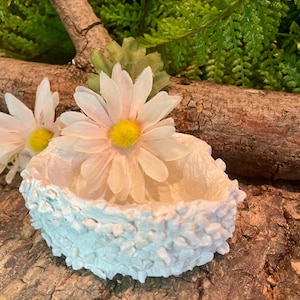 Daisy Calcium Hermit Crab Dish