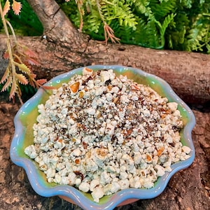 May include: A colorful, scalloped-edge bowl filled with a light-colored, granular substance. The bowl has a blue, green, and orange rim. The substance appears to be a mix of small, irregular pieces, with some reddish-brown flecks.