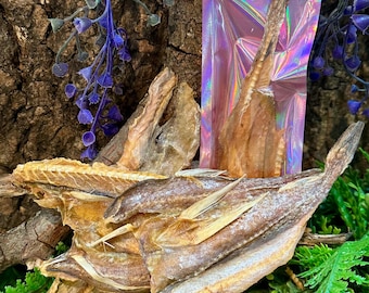 Jeprox Fish - For Land Crabs