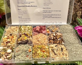 Land Hermit Crab Edu – Newbie Feeding Kit™ (NEW RECIPES)