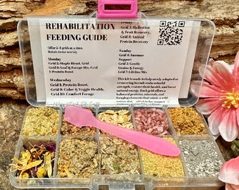 May include: A clear plastic organizer box with ten compartments filled with various dried food mixes for hermit crabs. A pink plastic spatula rests on top. The lid features a printed Rehabilitation Feeding Guide with text and a QR code.