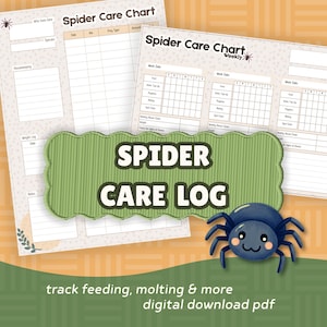 Guía de cuidados para arañas - Descarga instantánea - PDF digital A4