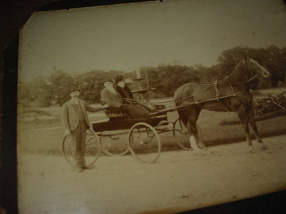 antique horse buggy