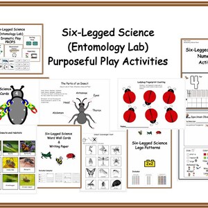 May include: A collection of printable educational activities for kids learning about insects. The activities include a word wall, math link cards, a ladybug fingerprint counting sheet, a specimen observation form, and more. The title of the resource is "Six-Legged Science (Entomology Lab) Purposeful Play Activities."