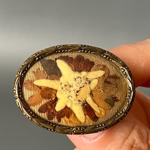 Antique Brooch with the Alpine Flower Edelweiss