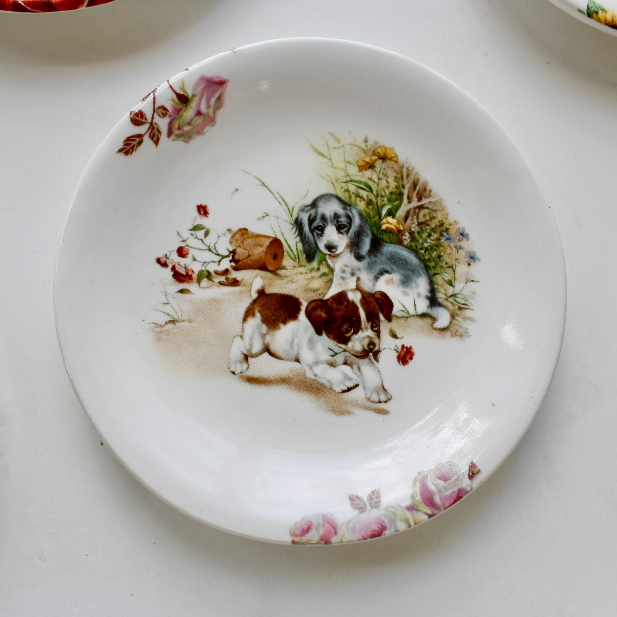 dog ring dish