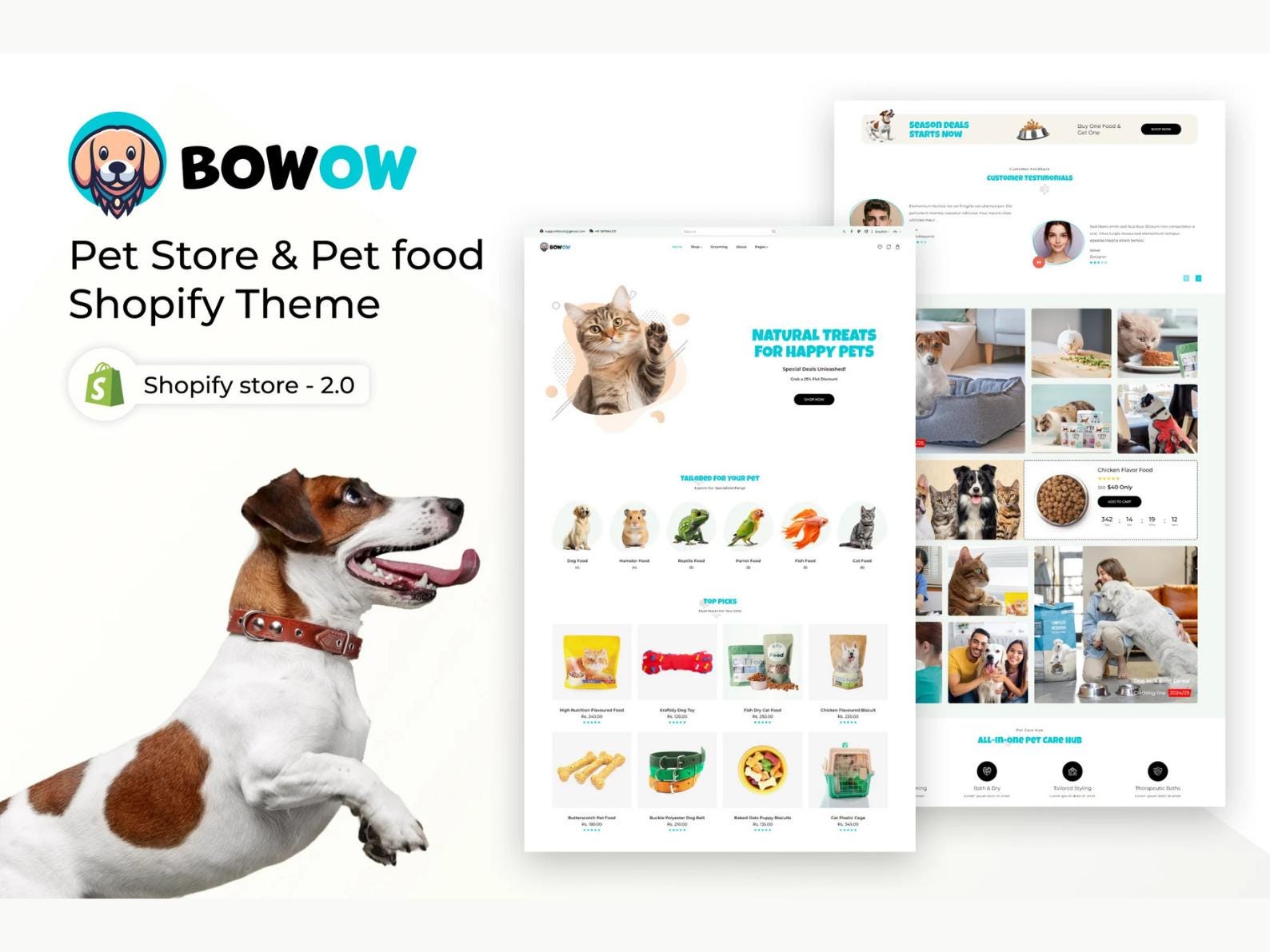 Adoption Process Petfinder Pet Adoption Websites Cat Adoption