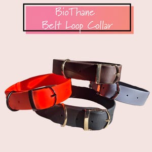 Dog Collar - BioThane/Waterproof/Non-stink