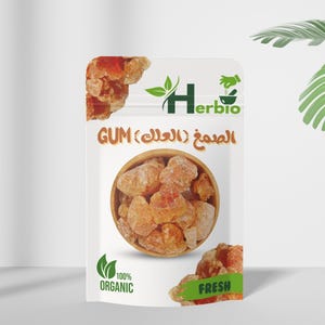 Moroccan Argan Fruit, Nuts & Kernels أركان | Raw Whole Argan Set