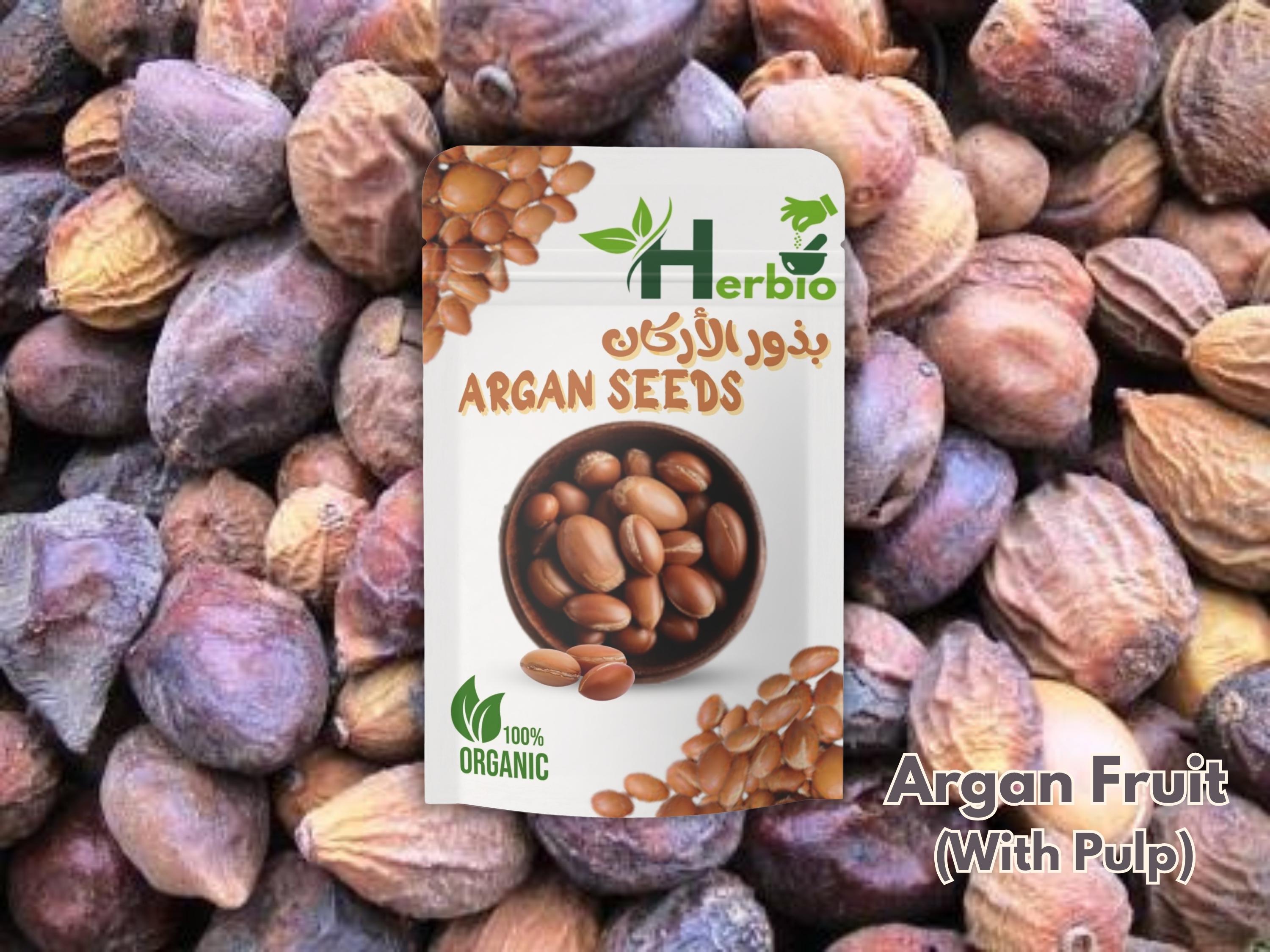 Moroccan Argan Fruit, Nuts & Kernels أركان | Raw Whole Argan Set