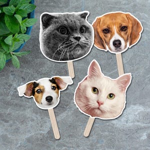 May include: Four pet-themed photo props featuring a gray cat, a beagle, a Jack Russell Terrier, and a white cat. Each image is mounted on a wooden stick. The props are arranged on a gray surface, with a blue pot of greenery in the background.