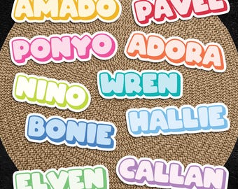 Personalized Name Sticker: Waterproof Vinyl Label