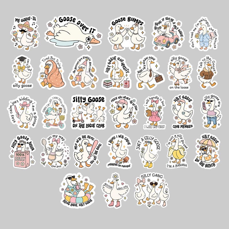 Silly Goose Sticker Pack 29: Waterproof Vinyl Decals for Laptop, Kindle ...