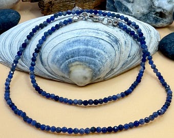 May include: A delicate necklace featuring small, faceted, deep blue beads. The necklace is strung on a fine chain and has a silver-colored clasp. The beads are evenly spaced, creating a simple yet elegant design. The necklace is displayed on a seashell.