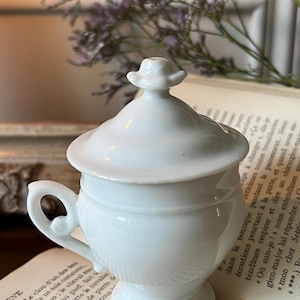 Può includere: Una piccola zuccheriera in porcellana bianca con coperchio e manico. La ciotola ha un corpo arrotondato e una base a piedistallo. Il coperchio è sormontato da un pomello decorativo. La zuccheriera è appoggiata su un libro d'epoca.