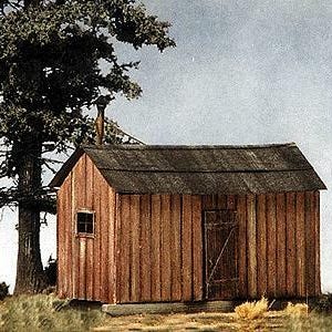 May include: A small, rectangular wooden cabin with vertical brown siding, a dark gabled roof, and a single door. A small window is visible on the side wall, and a thin chimney pipe extends from the roof. A large, dark evergreen tree stands nearby.